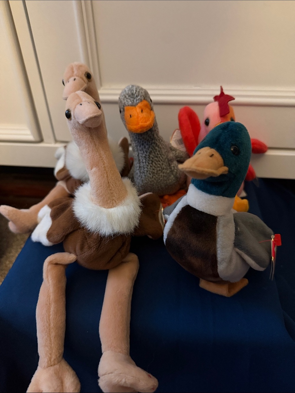 Lot 5 -Ty Beanie babie birds